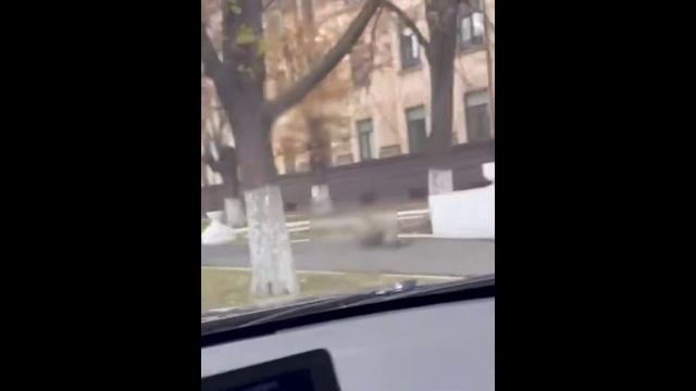 Одесса_ Беги мыкола, тикай тарас...