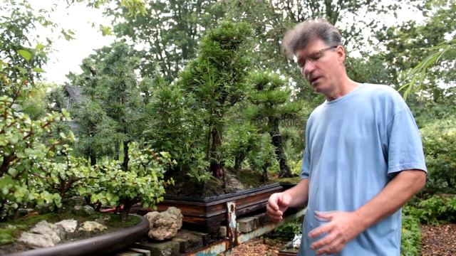 The Bonsai Zone, Part 1 of new Bonsai Benches and a Desert Landscape, Aug 2017