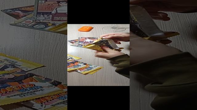 VID_20241201_161106.mp4