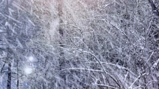 Снежинка
Стихи: Владимир Курочкин
Музыка, исп: Алексей Кракин