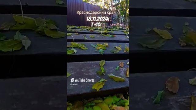 18.12.2024г.Краснодарский край,Осень уходит
