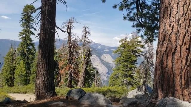 2478041 Yosemite 2019 low