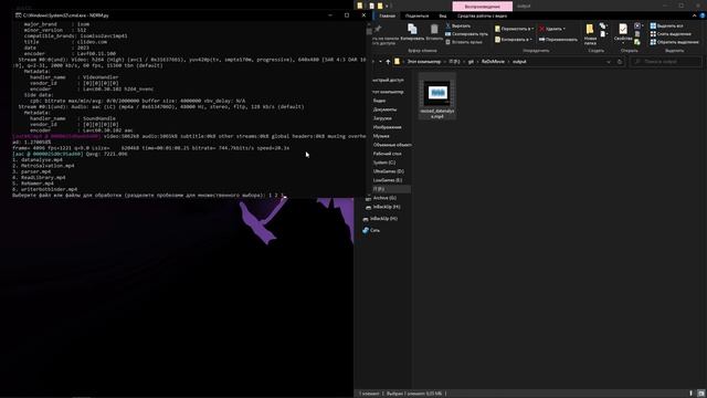 nrdm (редактор видео на ffmpeg)
