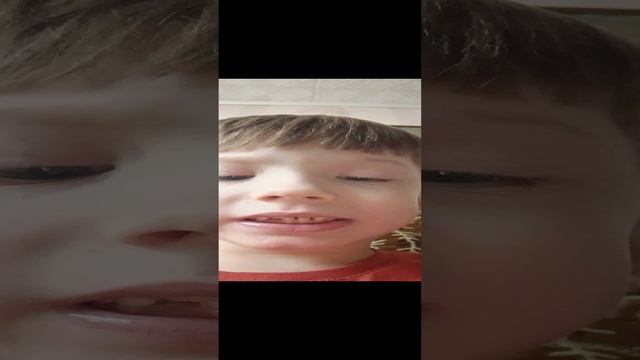 Май Костик рассказывает  video_20241201_132346