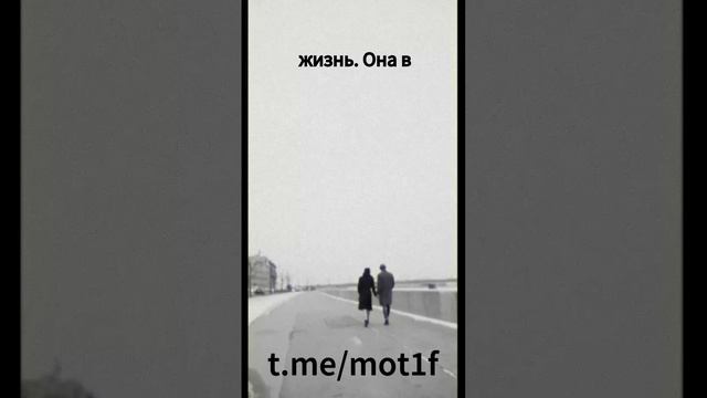 256 — сделано в Clipchamp