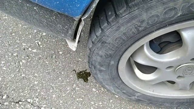 проверить, приклеится ли автомобиль к дороге клеем