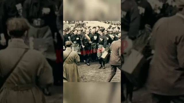Немецкие ультраправые идут на выборы с новой программой🤔