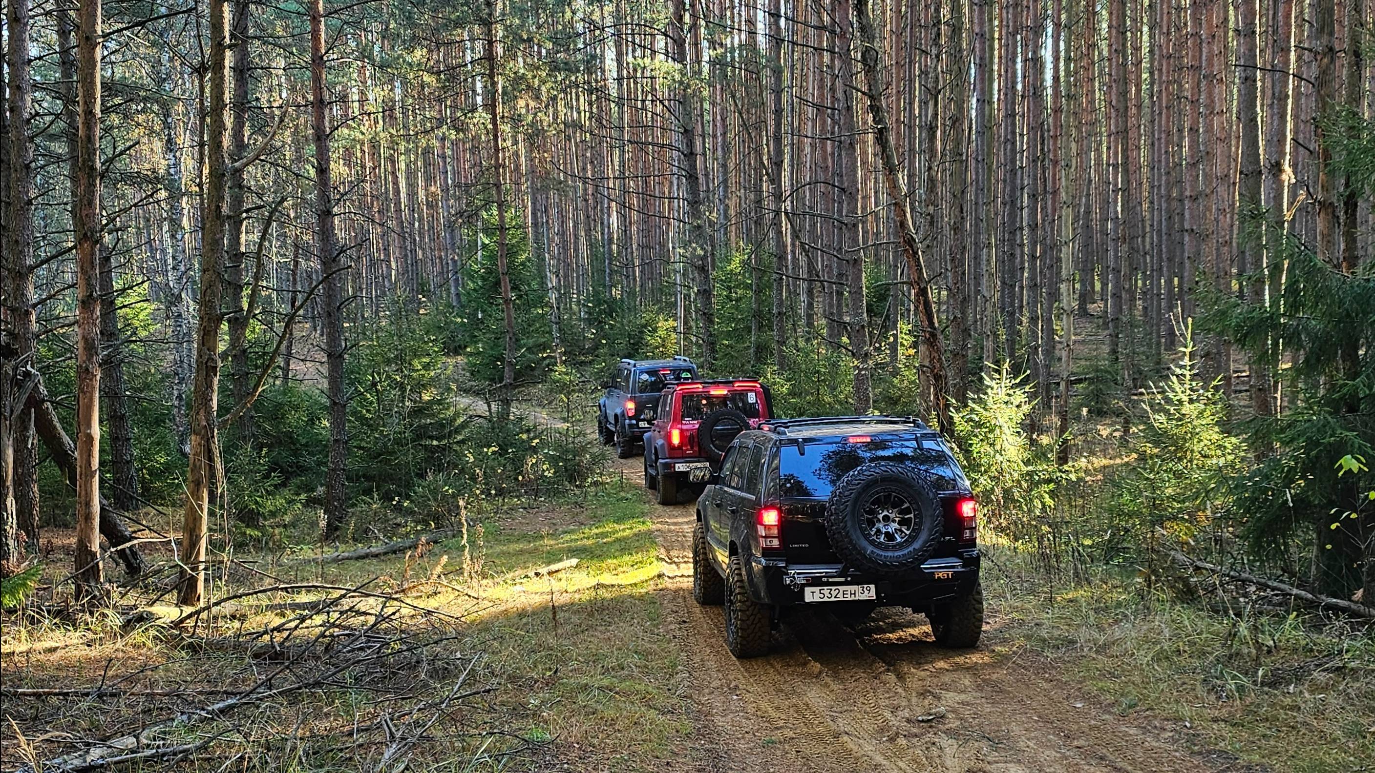 Поймали солнце за хост! Воскресенский бор. #с910ха #tank300 #jeep #уаз