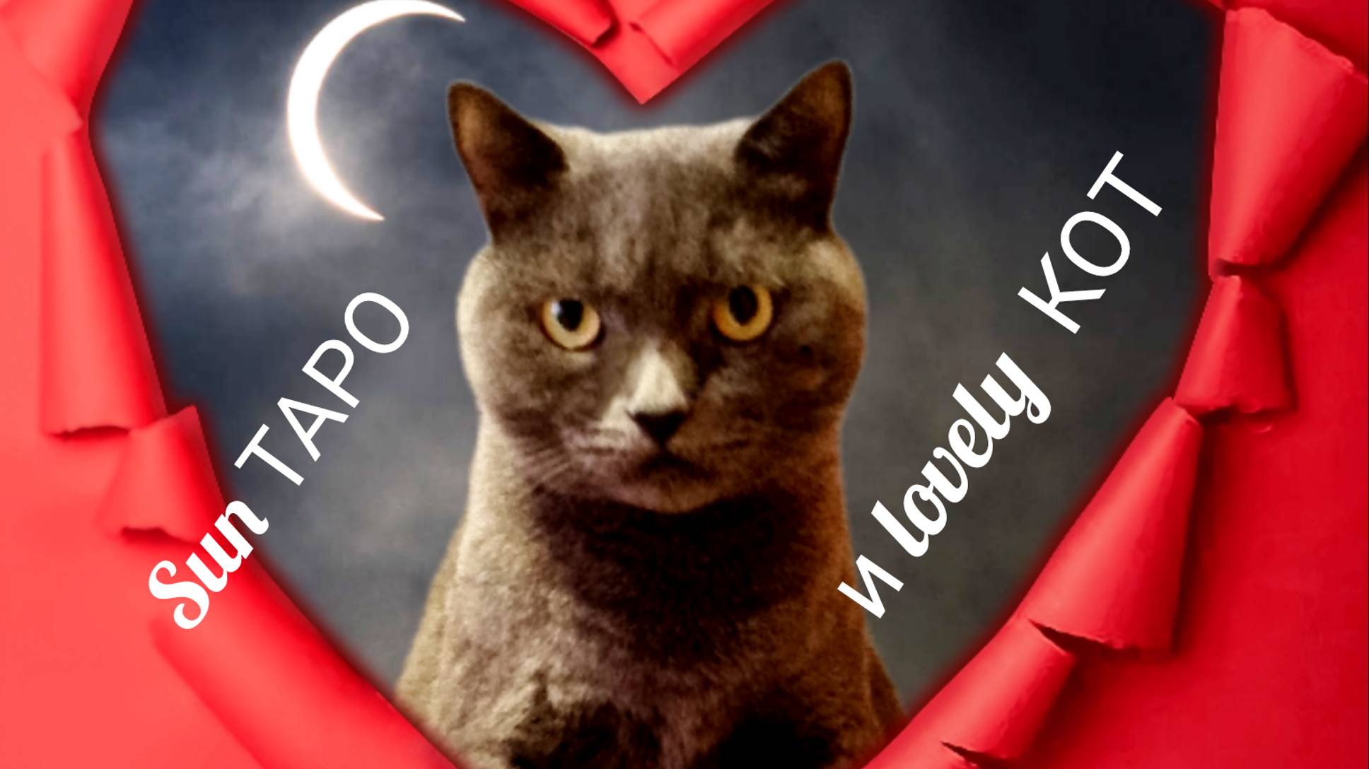 КАРТЫ РАСКРЫТЫ!