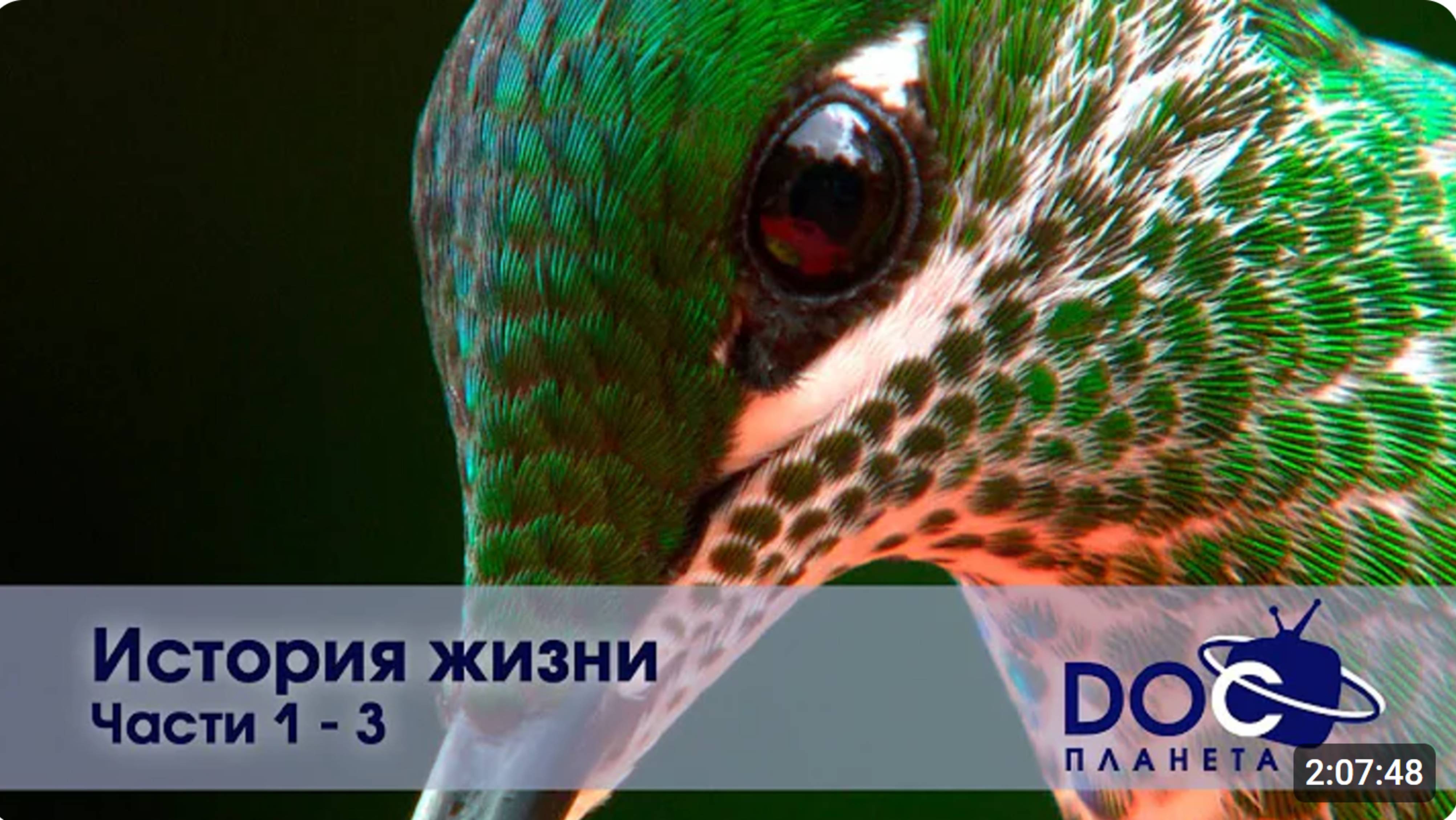 История жизни - Части 1-3