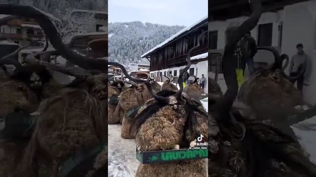 С первым днём Зимы!