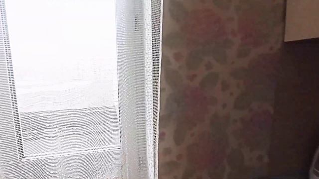 1-комнатная квартира: г. Санкт-Петербург, ул. Кржижановского, д. 7 (аренда)