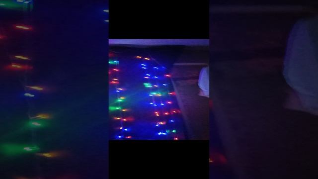 с 1 декабря
