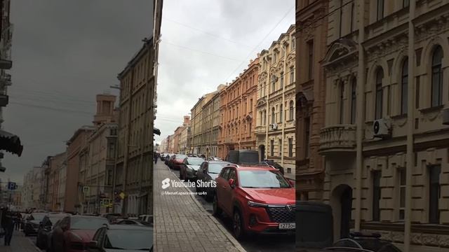 Санкт-Петербург. 29.11.2024. Басков переулок, вид от улицы Радищева. Фрагмент 6