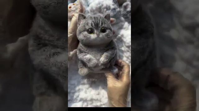 сквишики