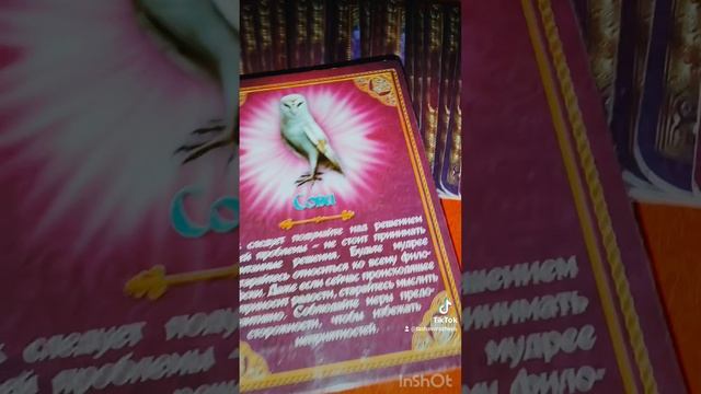 Вам письмо-послание от Вселенной. Для кого-то это важно! #картадня #рекомендации #shorts