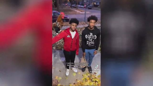 Best video of Tik Tok! 01.12.24 / 01