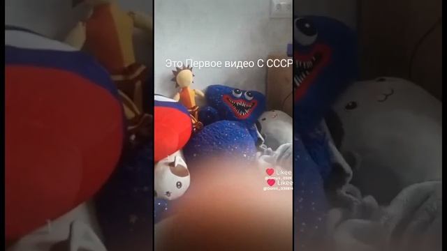 1000007456.mp4