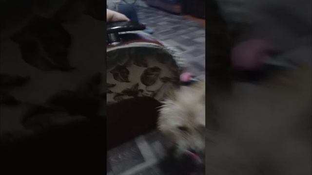 1000005791.mp4