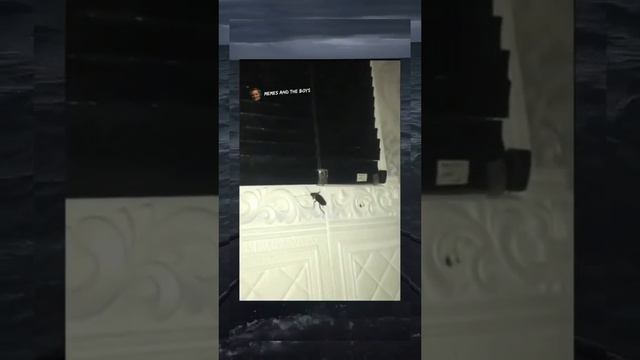 кружочек