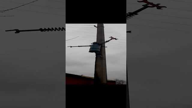 1000033253.mp401.12.2024г.