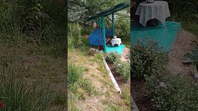 Виноград....
