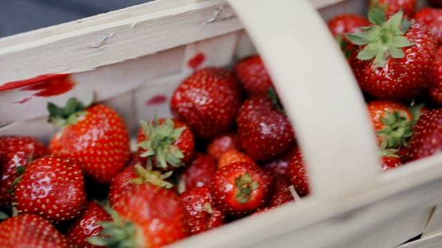4747773-hd_1920_1080_25fps
