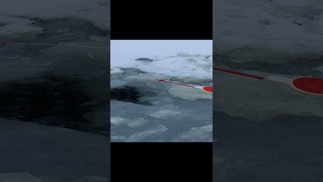 1000010202.mp4
