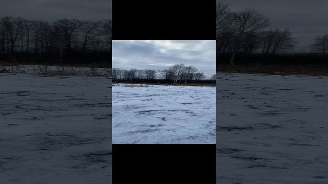 Охотка