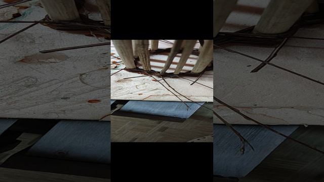 Плету елочку 2