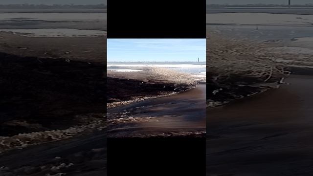 1000004953.mp4
