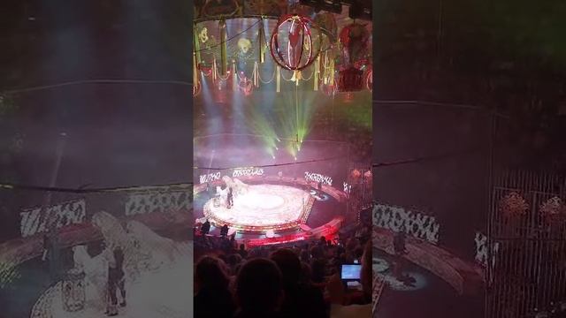 Цирк 5 континентов Ставрополь 3 ноября