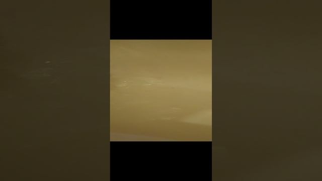 01-12-2024