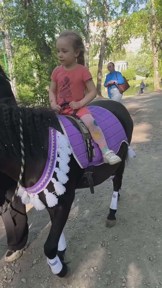 По коням