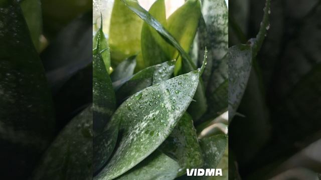 спи крепко и сладко
музыка для сна🥱😴🌙