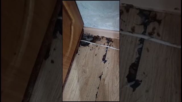 На такие 50 оттенков серого Анастейша точно не подписывалась 🌚