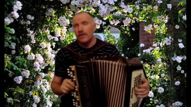 Сергей Понкратов Роза белая