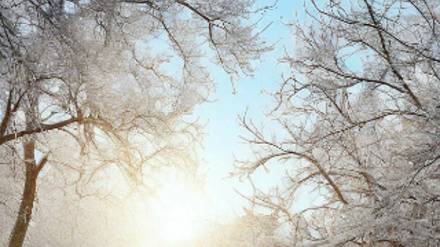 Душевные истории, - Загадочные виражи жизни...