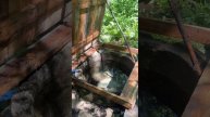Родниковая Святая Вода 💧 Едем вместе 🚛