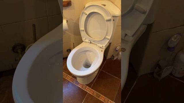 Установка углового унитаза в Одинцово. Услуги сантехника. santeh03.ru