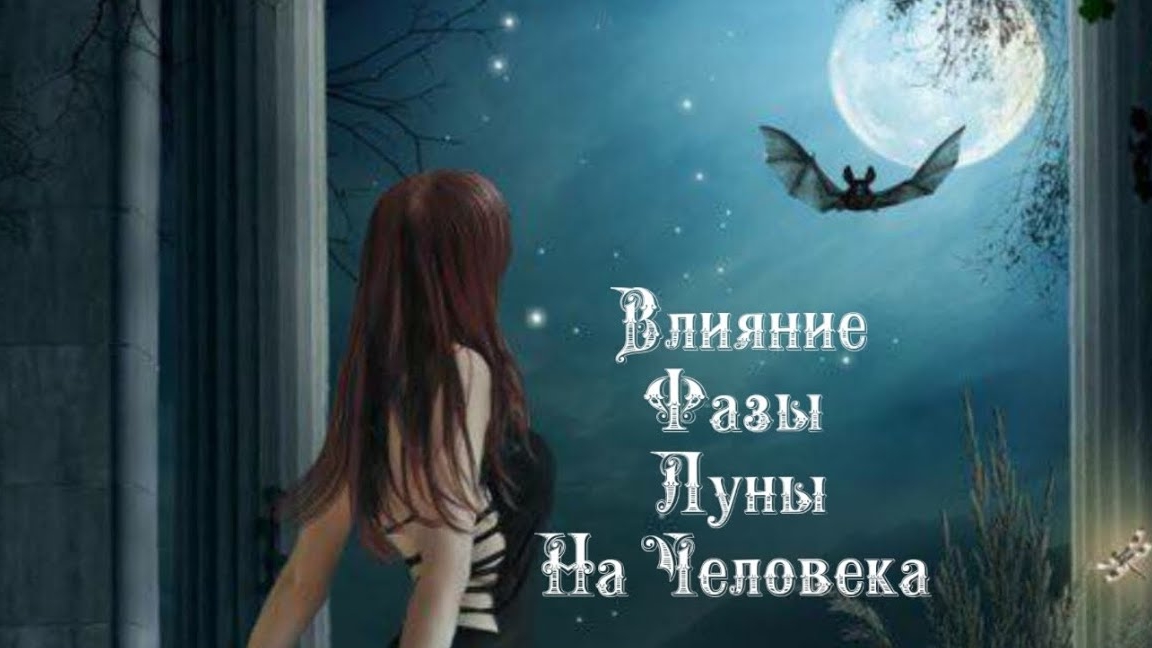 Влияние Фазы Луны на человека 1️⃣ декабря 2️⃣0️⃣2️⃣4️⃣ 🌒🌓🌔🌕🌖🌗🌘🌙🌛🌜🌝