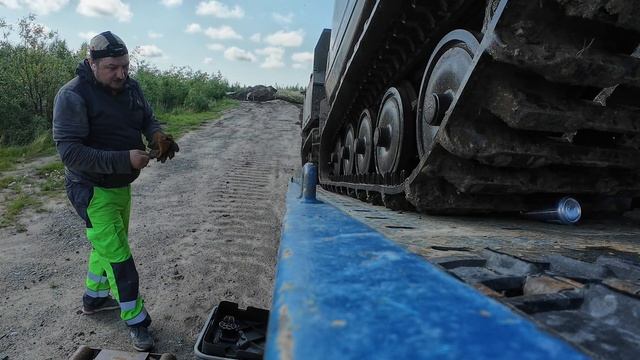 Лось против Газона