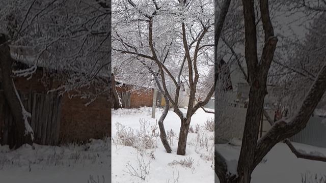 Первый день зимы / 01.12.24 / Ну что, начинаем
