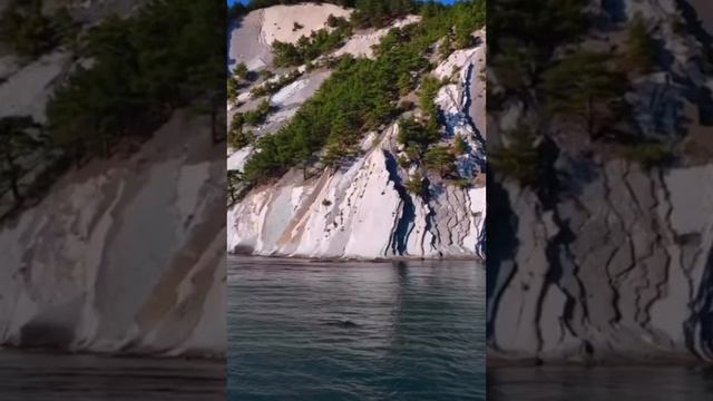 Мыс Дооб Кабардинка Дельфины #nature #релаксация #spring #sea ❤️