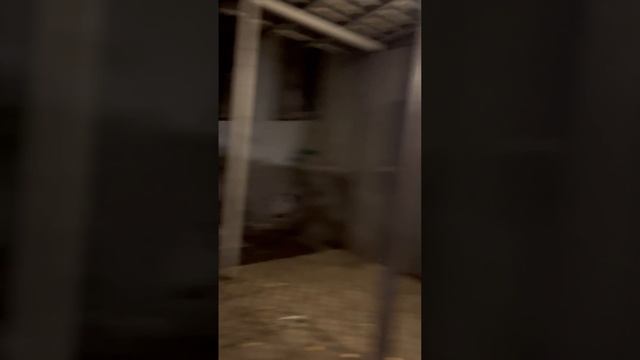 День рождения Жены