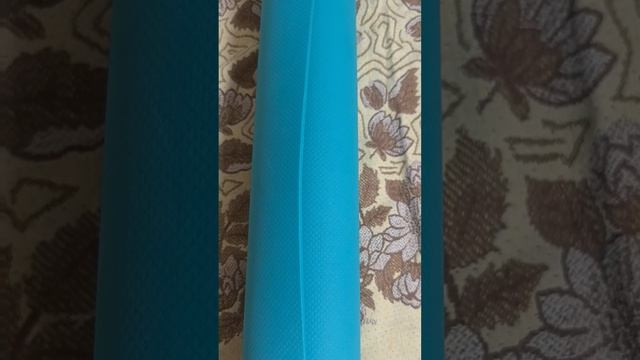 petal_20241201_182832.mp4