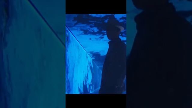 Zhalyn - вышла новая песня, полная версия клипа на YouTube канале @Dimash Qudaibergen