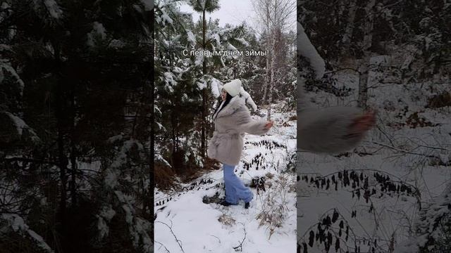 С первым днём зимы!