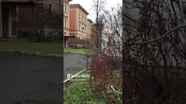 Санкт-Петербург. 27.11.2024. Детский медицинский центр на Лиговском проспекте