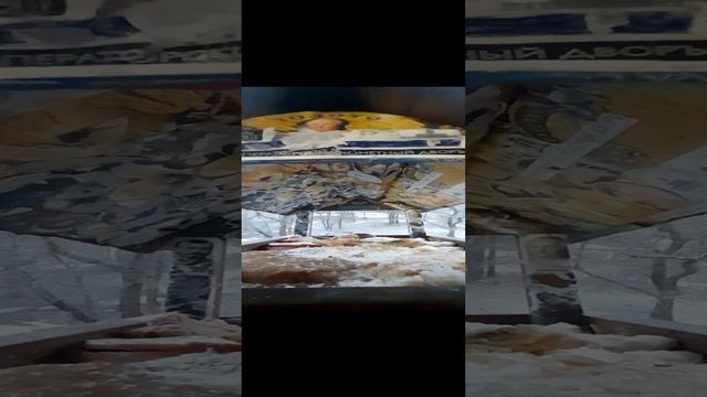 1000034164.mp4жизнь кормушки.01.12.2024г.